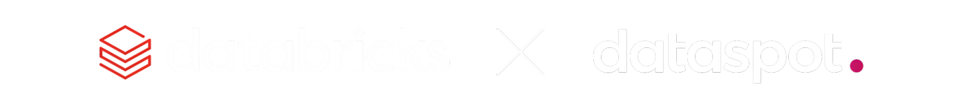 databricks x dataspot.